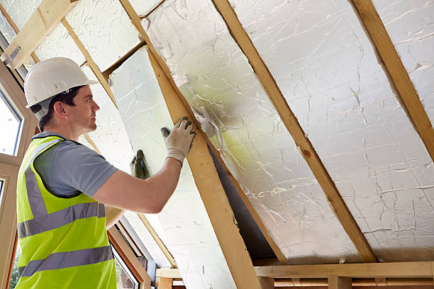 Best Insulation Maintenance and Repair in Granite Falls, MN